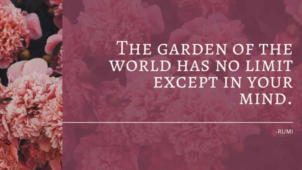 The garden of the world has no limit except in your mind. - rumi quote