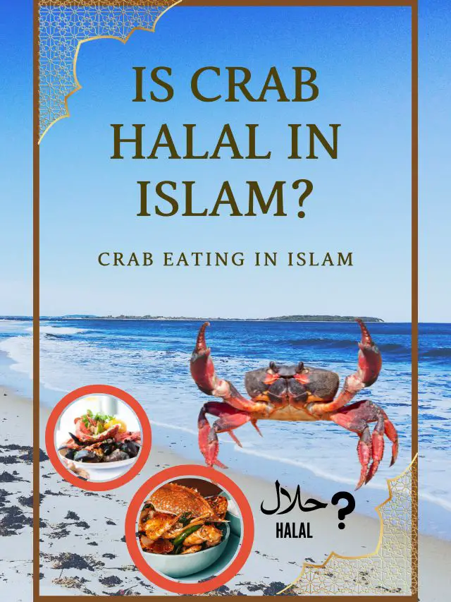 Is Crab Halal or Haram in Islam? Crab eating in Islam